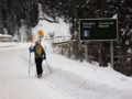 Jeannette sets a ski track on the roadside for this half km stone grind