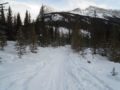 A well-packed trail to start out on the Kananaskis side