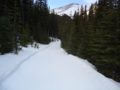 Marmot-basin-Feb-2013-3