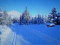 Skogan-Pass-Feb-6-2-1