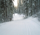 Canmore Nordic Centre