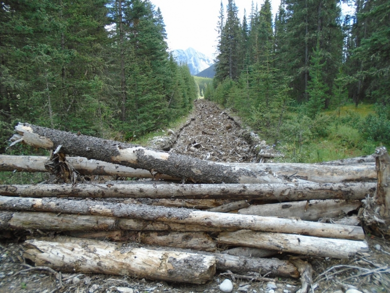 Cascade Valley