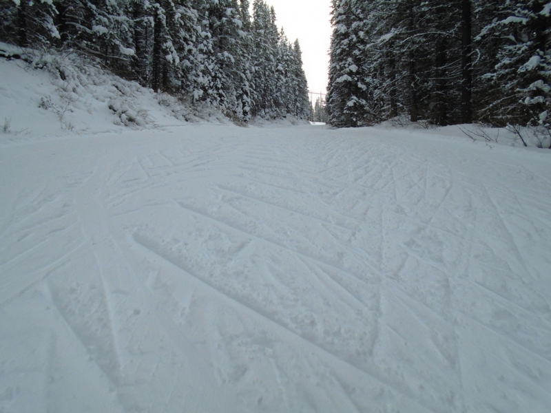 Elk Pass