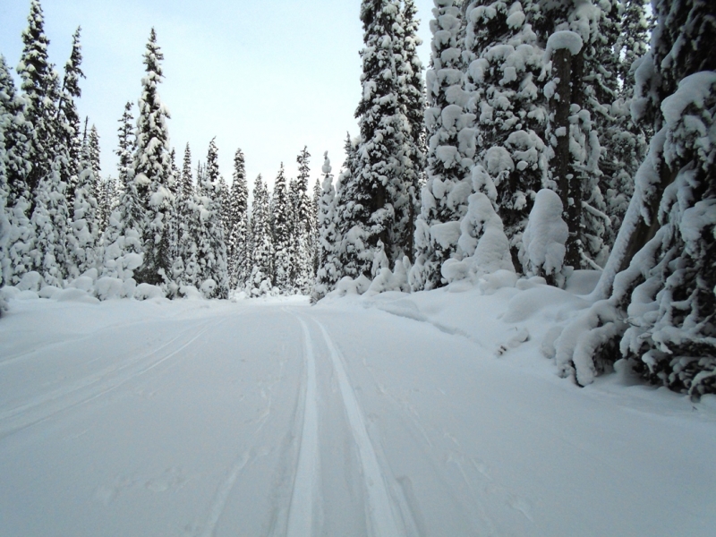Elk Pass