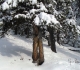 Elk Pass