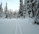 Elk Pass