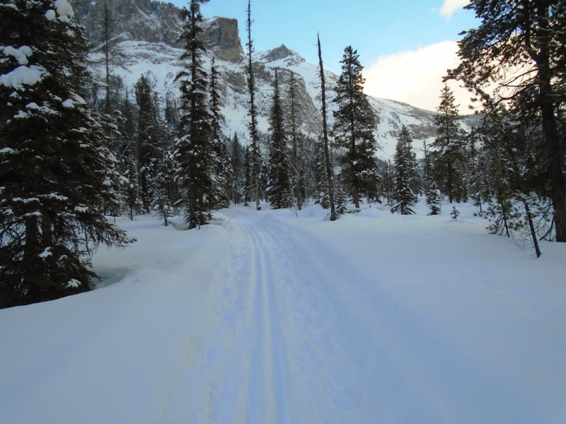Emerald Lake