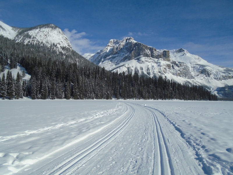 Emerald Lake