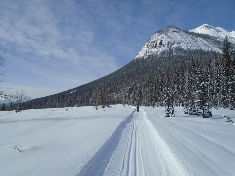 Emerald Lake