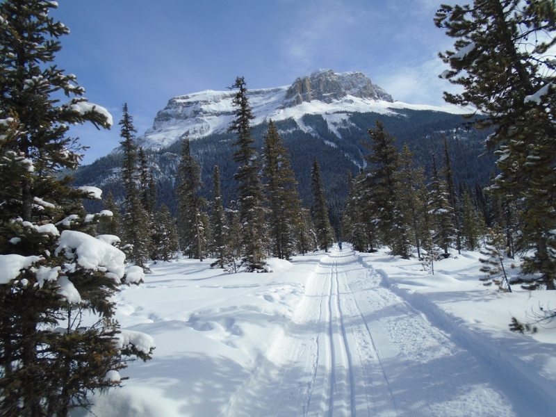 Emerald Lake
