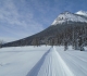 Emerald Lake