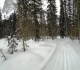 Emerald Lake