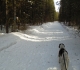 Evan-Thomas trail