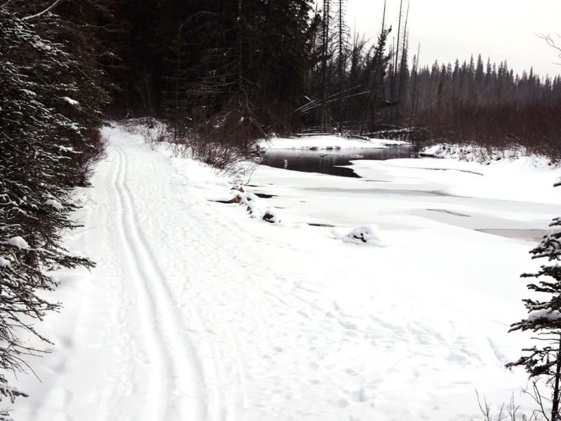 Healy Creek