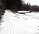 Healy Creek