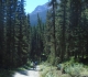 Spray River west