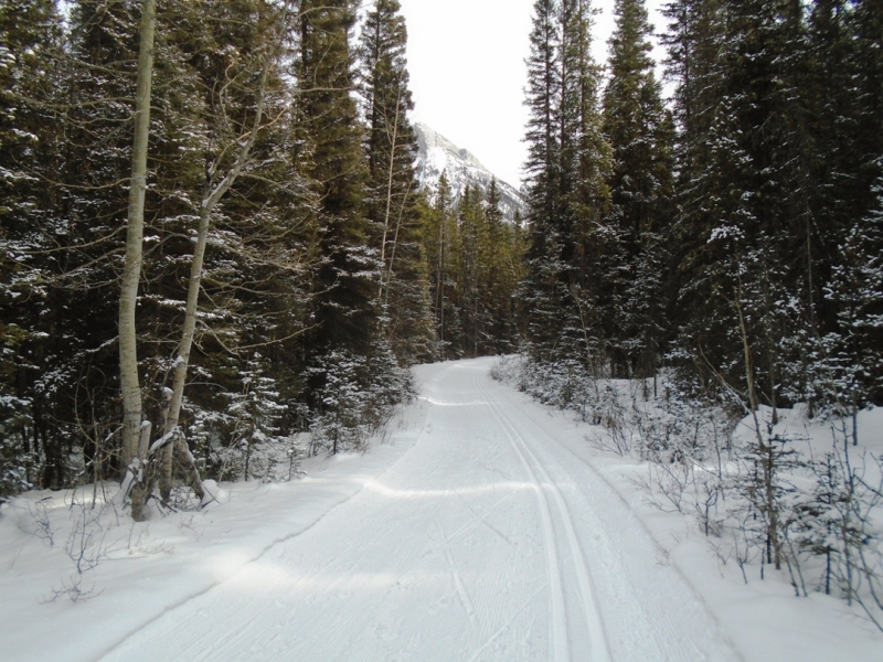Spray River West