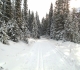 Goat Creek