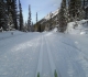 Goat Creek