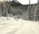 Goat Creek