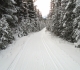 Goat Creek