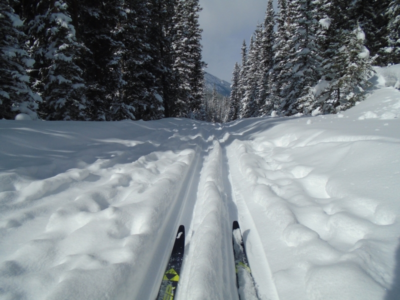 Goat Creek