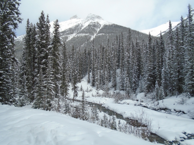 Goat Creek