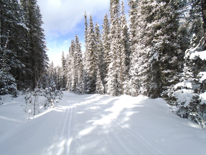 Spray River West