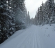 Goat Creek