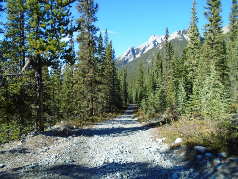 Goat Creek