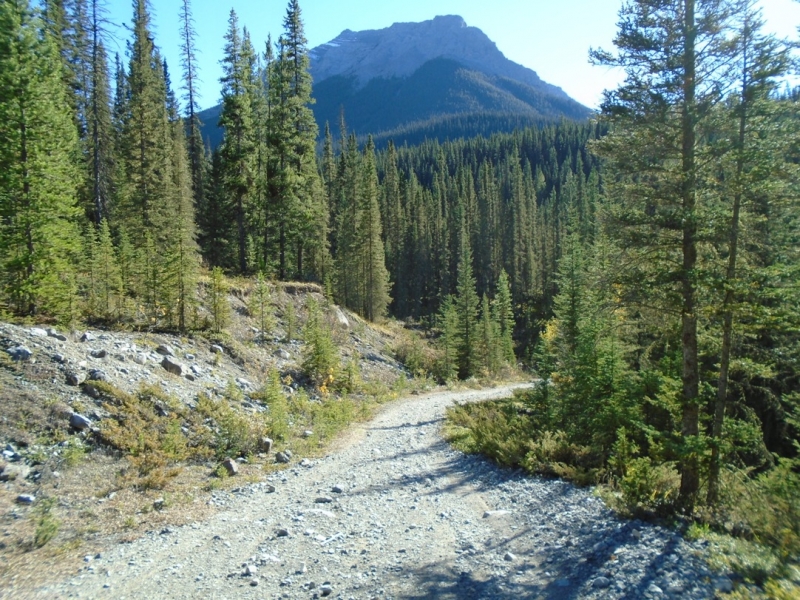Goat Creek