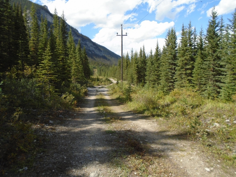 High Rockies trail