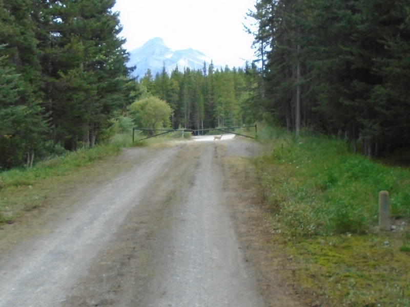High Rockies trail