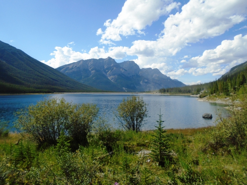High Rockies trail