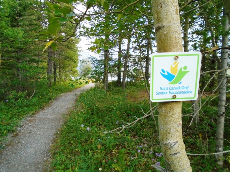 High Rockies trail