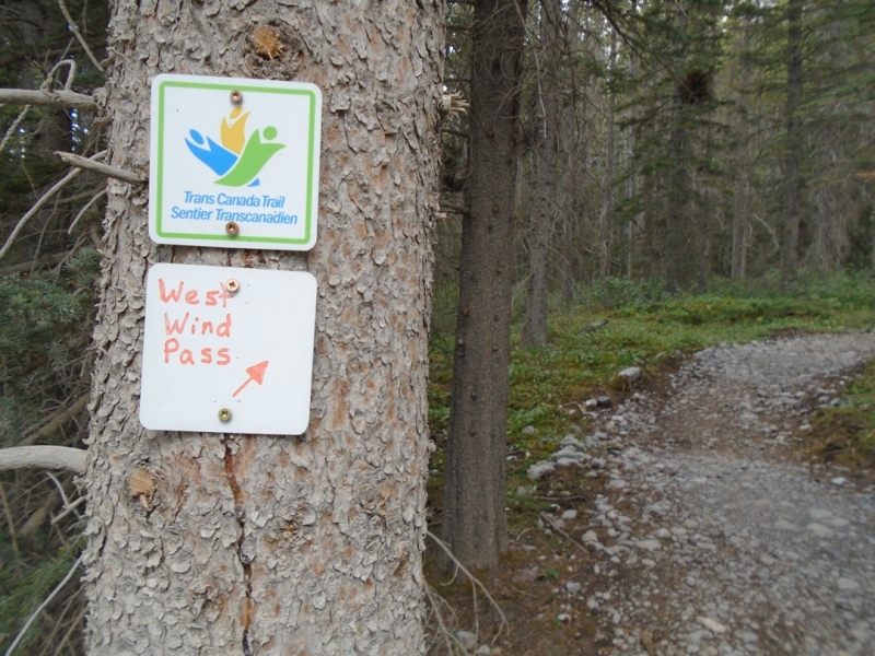 High Rockies trail