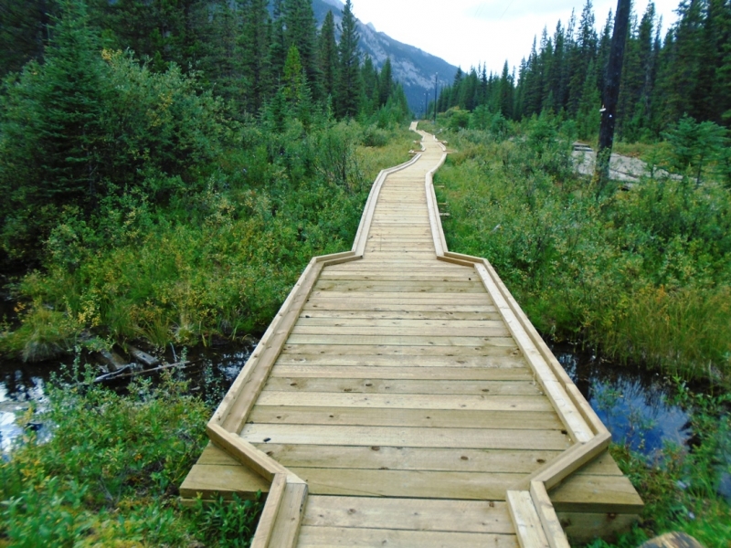 High Rockies trail