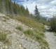 High Rockies trail