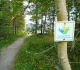 High Rockies trail