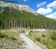 High Rockies trail