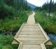 High Rockies trail