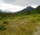 High Rockies trail