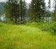 High Rockies trail
