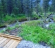 High Rockies trail
