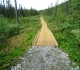 High Rockies trail