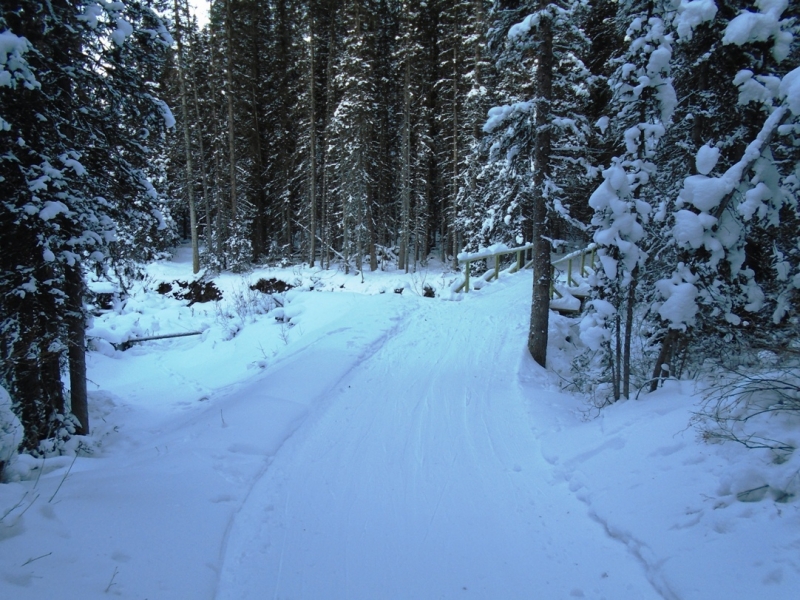 Fox Creek
