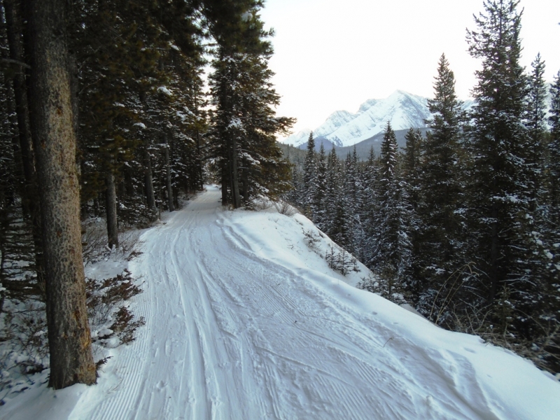 Moraine
