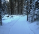 Fox Creek