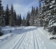 Aspen