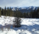 Aspen